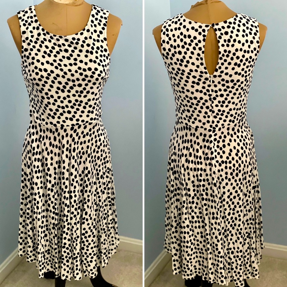 Loft polka dot summer A-line dress